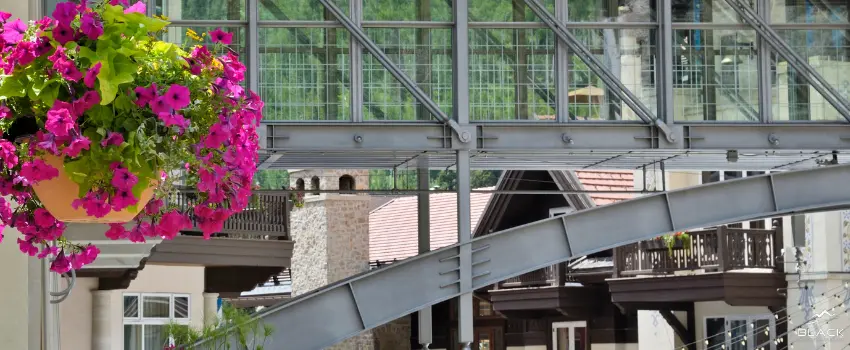 Pink flowers, a steel bridge, and a row of residential houses.